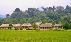 Một góc vùng quê cách mạng với quang cảnh bình yên, trữ tình thích hợp cho du lịch nghỉ dưỡng.