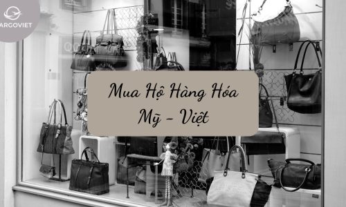 Mua Hộ Hàng Mỹ Về Việt Nam – Dịch Vụ Uy Tín Từ Cargoviet